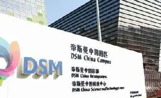 帝斯曼化粪池清理项目单位封面